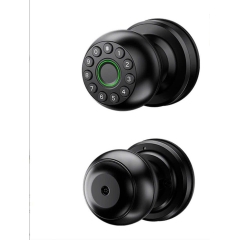 KHÓA VÂN TAY CỬA GỖ TL31